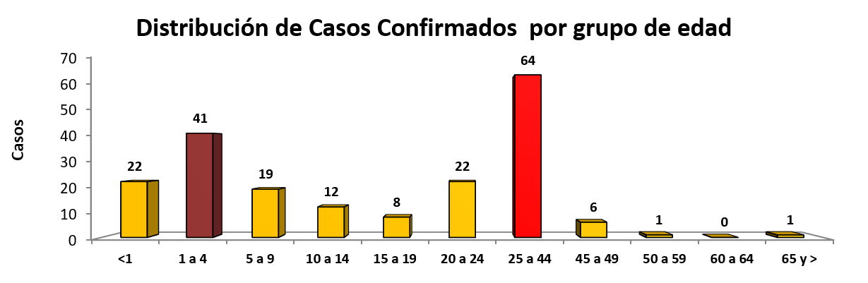Casos Confirmados de Sarampión Mapa SSM